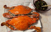 清蒸梭子蟹