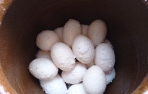 简单的腌鹅蛋/鸡蛋/鸭蛋