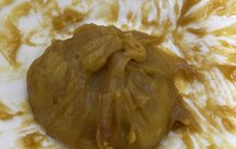 最最最简单的微波炉豆沙黄米年糕 相信我 已经没有更简单的做法啦