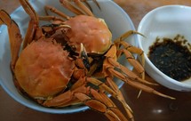 清蒸大闸蟹