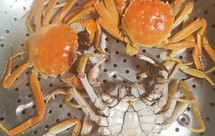 掏空大闸蟹的吃蟹法~