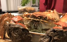 清蒸大闸蟹
