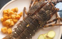 暖心龙虾瑶柱粥，孩子最爱