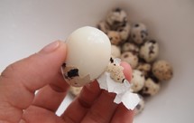 鹌鹑蛋容易剥壳的好方法