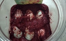 酒糟蛋（老妈远程指导版）