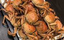 无敌好吃烧河蟹