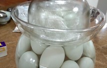 不咸不淡的咸鸭蛋