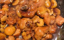 香甜软糯，汤汁浓郁的板栗烧鸡