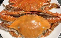 清蒸梭子蟹