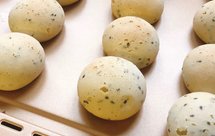 外酥里糯麻薯包 恐龙蛋