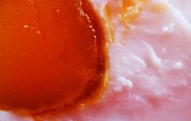 制作简单的冒油咸鸭蛋