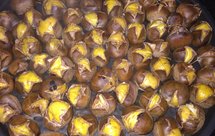 超简单电饼铛烤板栗懒人版