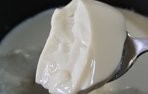 九阳破壁机Y929版豆腐脑