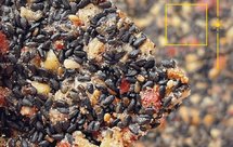 大份量红豆薏仁红枣核桃黑芝麻饼