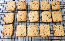 葡萄干饼干（海氏i7）