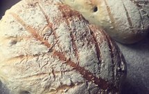 简单易做零基础！新手必备！软欧包新手易做方便快捷软欧包橄榄油款低糖坚果软欧包健康无黄油版软欧包