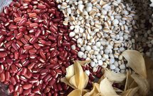 红豆薏米百合排骨去湿汤