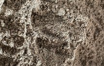 黑芝麻黑豆黑米粉(补肾黑发)