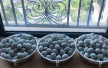 自制咸鸭蛋（咸青皮） 起沙流油（附详细制作过程）