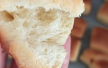 山药奶香葡萄干小面包（低糖，无蛋清款）