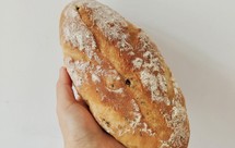 全麦葡萄干软欧