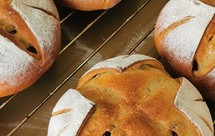 蔓越莓花蕾软欧包