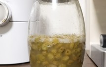 首次成功天然葡萄干酵种（3天后吐司出炉）