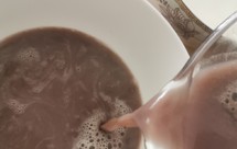 黑豆黑米芝麻 葡萄干