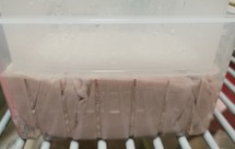 做完就被抢光的黑豆豆腐