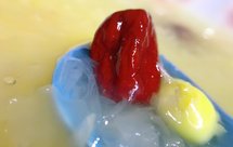 【樉樉的小厨房】小美版粘糯香甜的～冰糖银耳白果汤