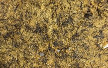 橄榄菜米饭锅巴