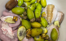 橄榄猪肠粉石斛汤