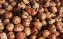 空气炸锅做的香酥鹰嘴豆