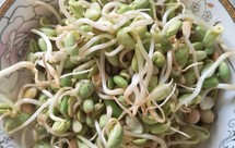 自制:黑豆芽