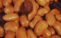 酸甜话梅大白芸豆