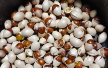 空气炸锅白果（银杏果）