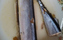 罗汉果蒸秋刀鱼（原食主义）