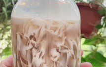 罗汉果雪梨菊花膏