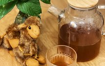 杏皮水 养生壶懒人版