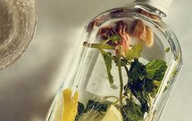 #盛夏之饮#冷泡茶-甘甜罗汉果配一切花草