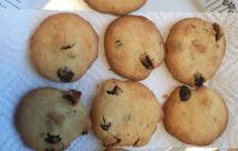 榛子葡萄干黄油曲奇饼干