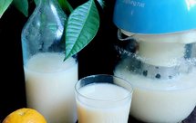 百合米豆浆（九阳豆浆机版）