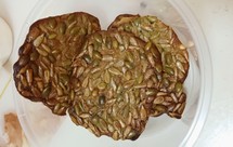 南瓜子瓜子仁薄脆