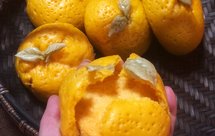 低热量馒头（山药南瓜红薯：胡萝卜橘子草莓香菇花朵造型）