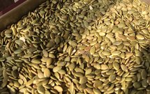 南瓜籽仁烤箱版