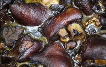 黄豆黑豆花生炖猪蹄，好吃得不得了