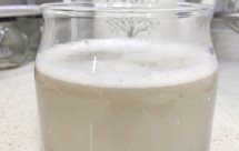 豆浆机/破壁机版 黑豆豆浆（4人份）无糖，有用到过滤网，豆渣也可以用来做饼。