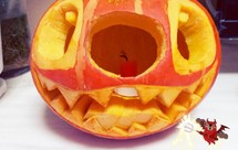 万圣节南瓜史迪仔