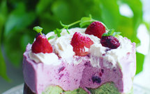 开心果莓果巴斯克