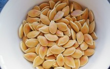 连南瓜籽都不放过